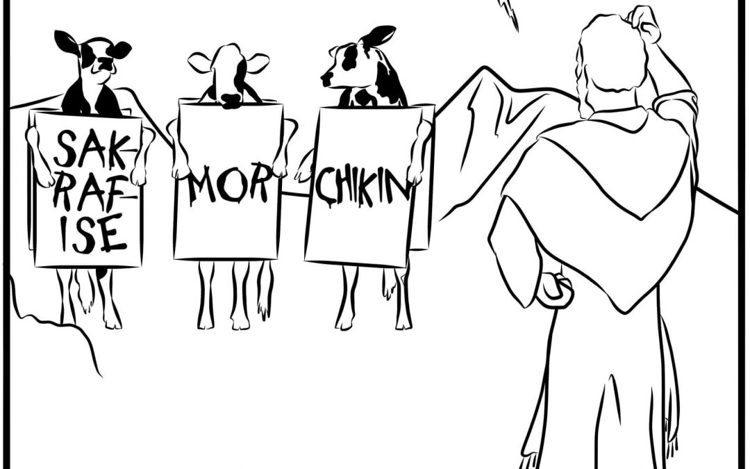 Mor Chikin