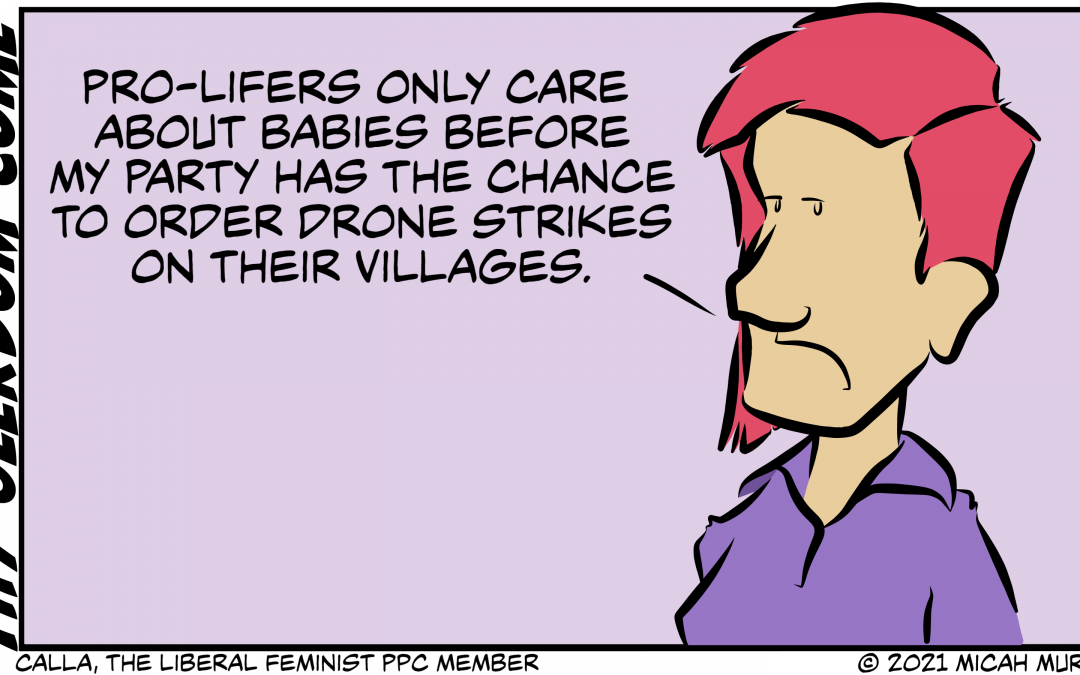 Pro-Life Drone Strike