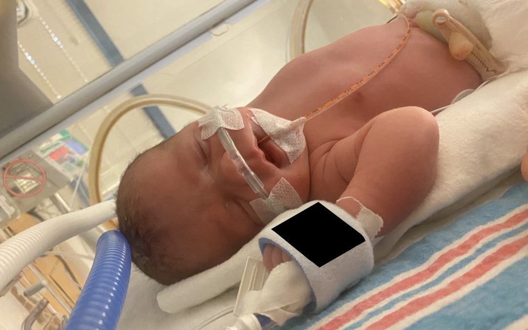 May Flowers: Baby Murphy #7