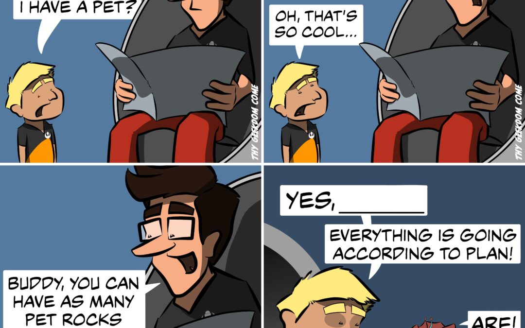 Fill-in-the-Blank: Pet Rock